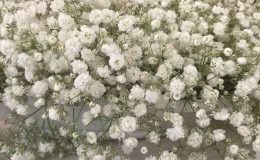 wedding-planning-sicily-flowers.8